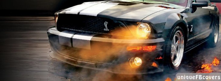 Mustang Fbcover